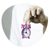 Flexible Scheduling